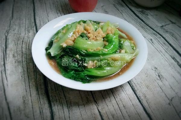 蚝油生菜