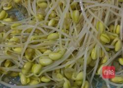 黄豆芽蒸肉的做法图解1