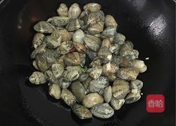 爆炒酱花蛤蜊的做法图解6