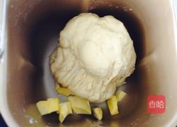 全麦豆沙面包卷的做法图解3