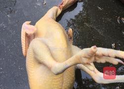 老母鸡人参汤的做法图解1