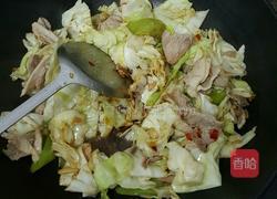 干煸圆白菜的做法图解6