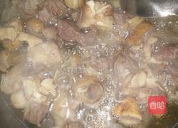 黄焖羊肉的做法图解4