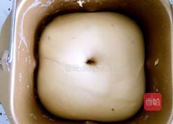 玉米奶酪咸面包的做法图解5