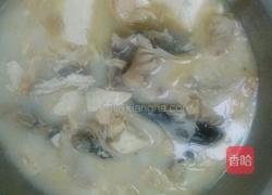 鱼头汤的做法图解5