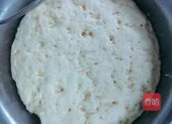 素馅包子的做法图解10