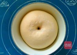 心心相印椰蓉面包的做法图解4