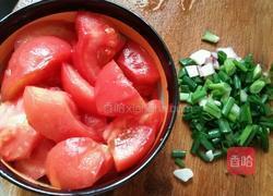 猪肝番茄汤的做法图解3