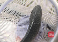 鲫鱼汤的做法图解1