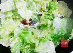 手撕包心菜的做法图解5