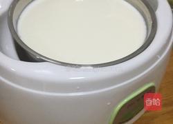 菠萝杏仁酸奶的做法图解3