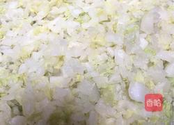 白菜猪肉饺的做法图解2