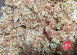 白菜猪肉饺的做法图解4
