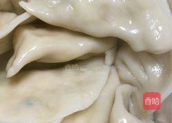 白菜猪肉饺的做法图解11