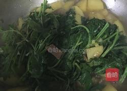 哈拉海炖土豆的做法图解7