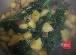哈拉海炖土豆的做法图解8