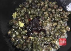 爆炒酱螺丝的做法图解7