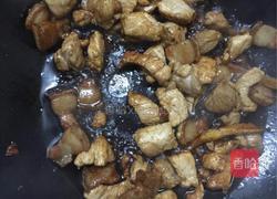 土豆炖红烧肉的做法图解6