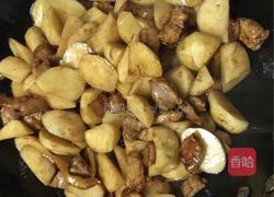 土豆炖红烧肉的做法图解8