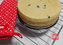 黑加仑抹茶戚风蛋糕的做法图解27