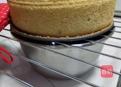 黑加仑抹茶戚风蛋糕的做法图解26