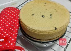 黑加仑抹茶戚风蛋糕的做法图解27
