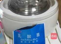 川秀自制酸奶的做法图解1