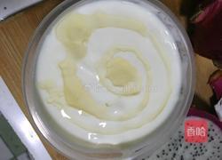 蜂蜜火龙果自制酸奶的做法图解3