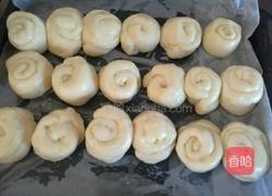 蜂蜜香酥面包的做法图解8