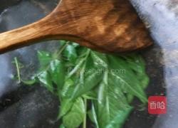 凉拌香椿芽的做法图解5