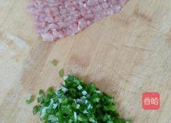 胡萝卜木耳馅饺子的做法图解4