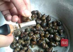 香辣田螺的做法图解2