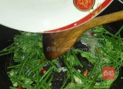 辣炒南瓜藤的做法图解5