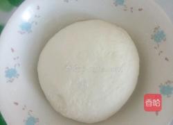 木耳芹菜包子的做法图解2