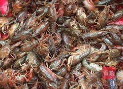 香辣龙虾的做法图解1