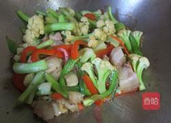 花菜炒肉的做法图解11
