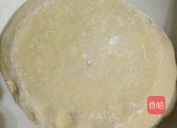 蜂蜜小麻花的做法图解1