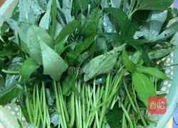 蒜蓉炒番薯叶的做法图解1