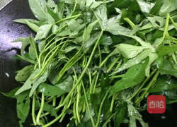 蒜蓉炒番薯叶的做法图解5