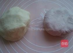 槐花饺子的做法图解6