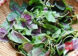 清炒红苋菜的做法图解1