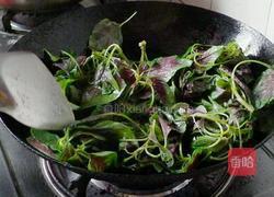 清炒红苋菜的做法图解4