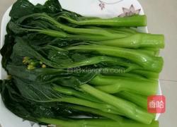 白灼广东菜心的做法图解7