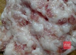 鲅鱼饺子的做法图解6