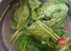 陈醋菠菜花生米的做法图解4