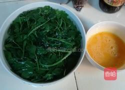 刺五加炒鸡蛋的做法图解2