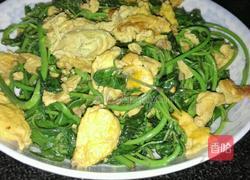 刺五加炒鸡蛋的做法图解4