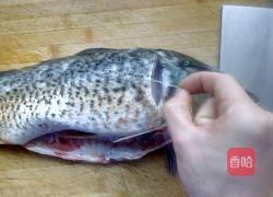 香脆炸鱼块（私厨）的做法图解1