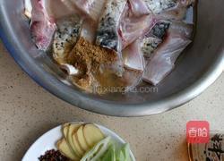 香脆炸鱼块（私厨）的做法图解4