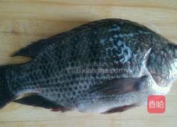 红烧罗非鱼的做法图解1